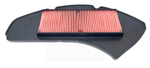 TRİCİTY 155 HAVA FİLTRESİ