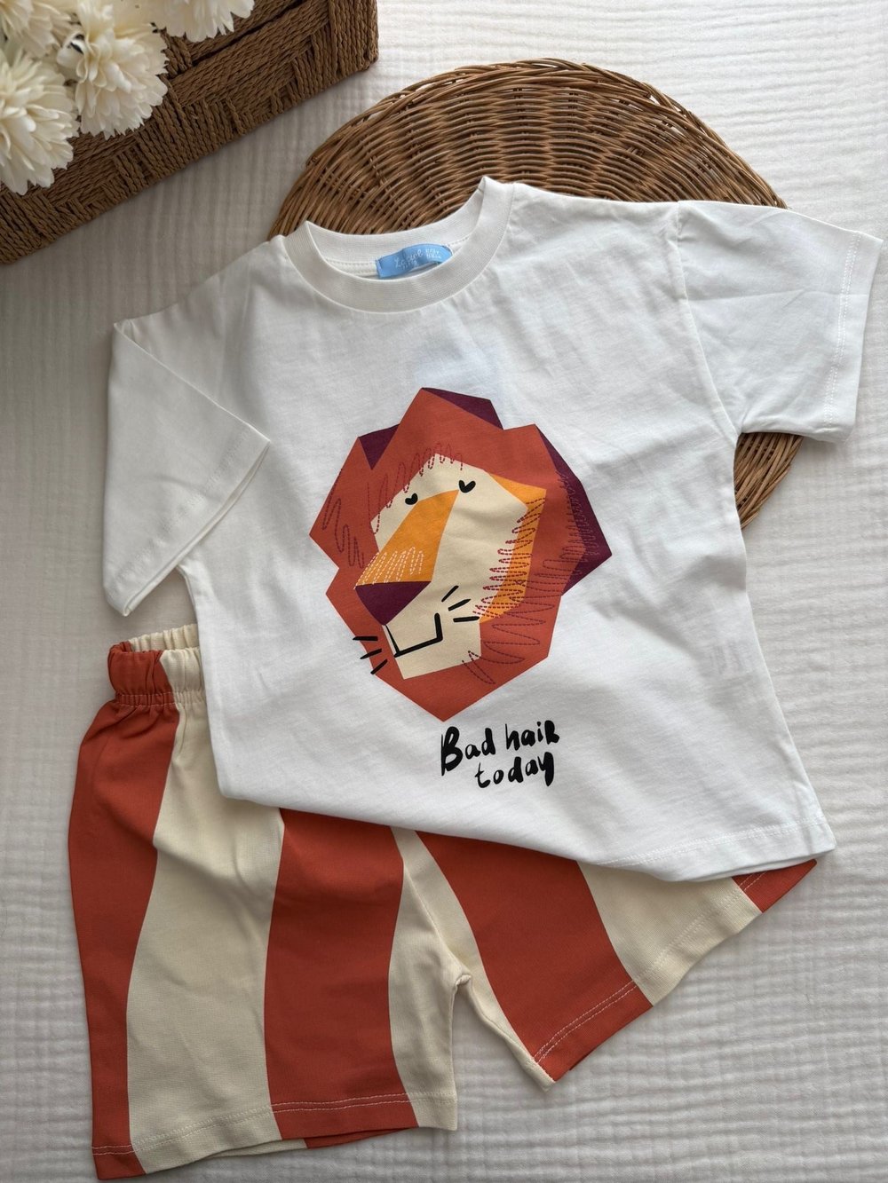 Lion 2 li Takım