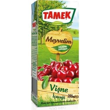 TAMEK MEYVE SUYU VİŞNE 200 ML 
