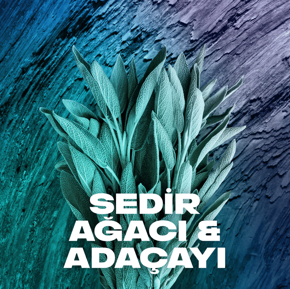 Axe Apollo Erkek Deodorant Sprey 150 ml