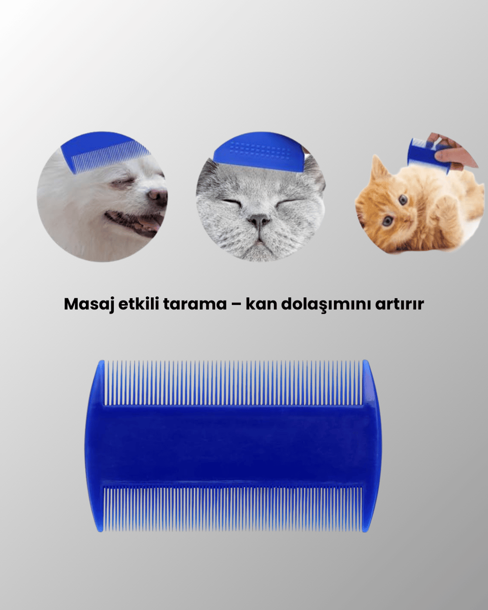 4 Parçalı Evcil Hayvan Tarak Seti – Paslanmaz Çelik Dişli, Ergonomik Saplı