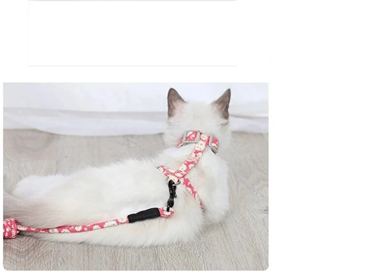 Kedi Gezdirme Göğüs Tasması