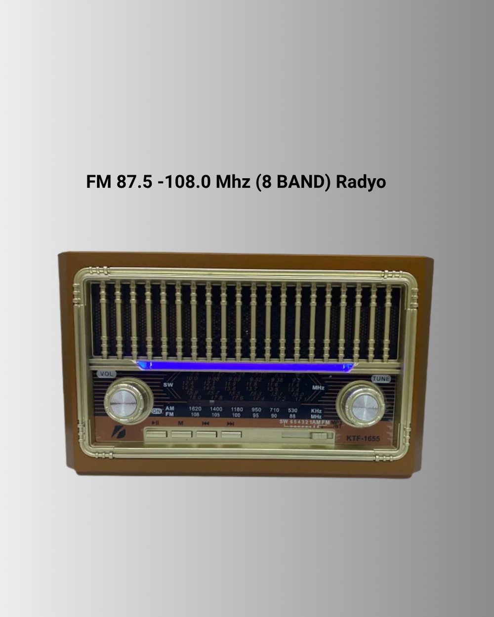 USB ve Hafıza Kart Girişli Radyo Hoparlör