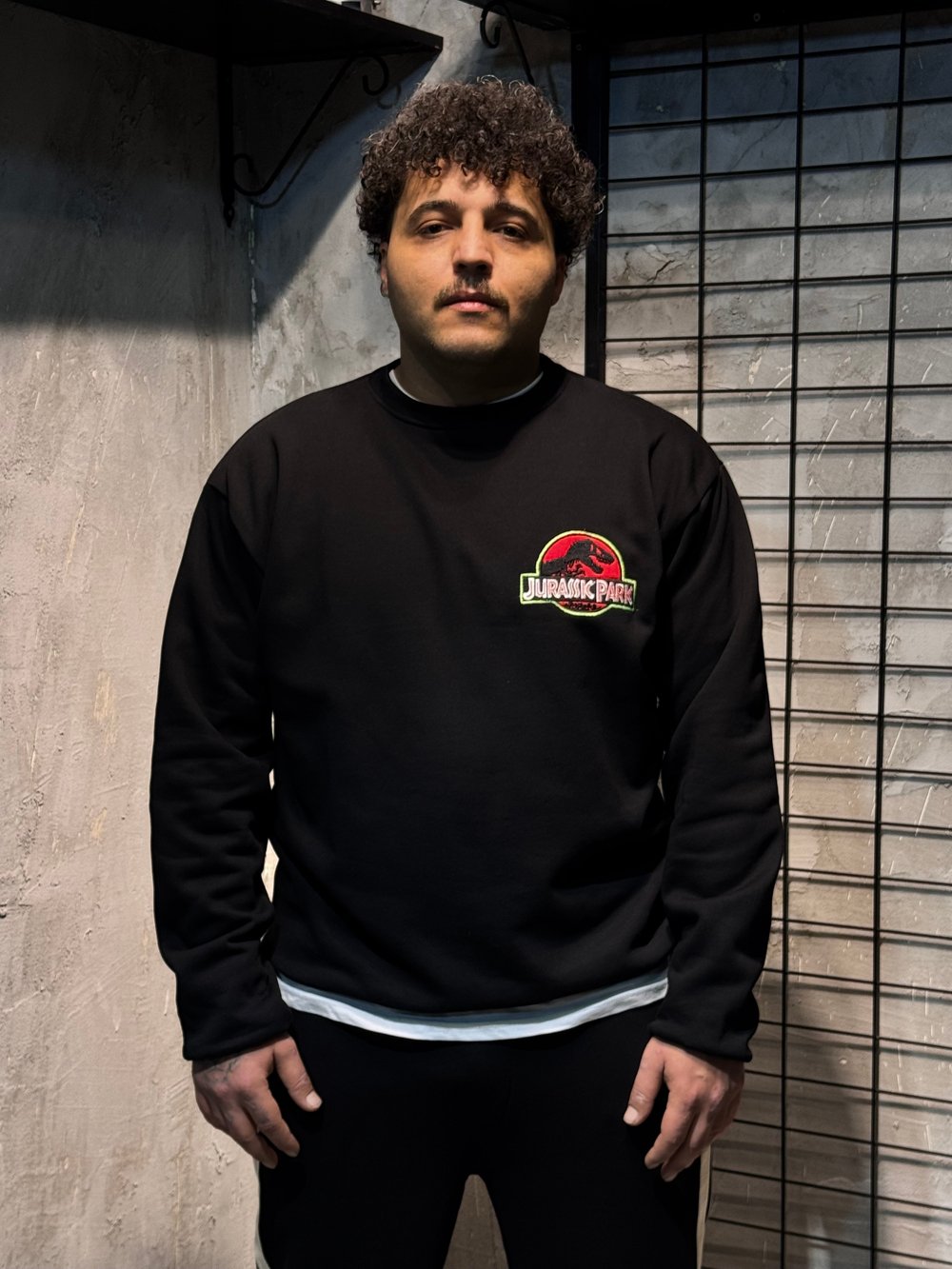 Jurassıc Park Nakışlı Siyah Sweatshirt