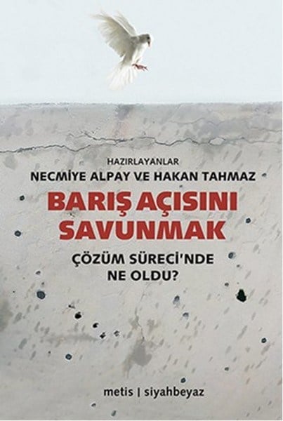 Barış Açısını Savunmak  Çözüm Sürecinde Ne Oldu?