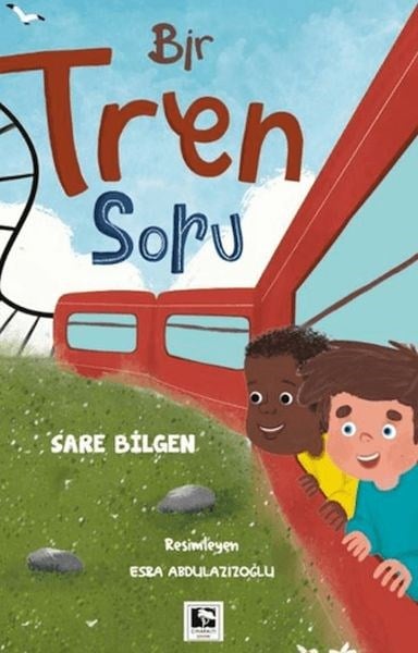 Bir Tren Soru