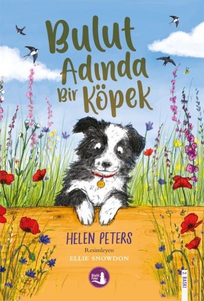 Bulut Adında Bir Köpek