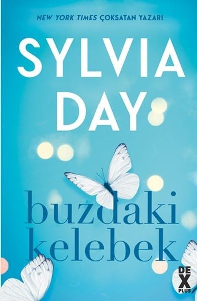 Buzdaki Kelebek