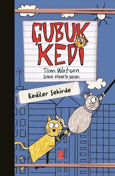 Çubuk Kedi - Kediler Şehirde