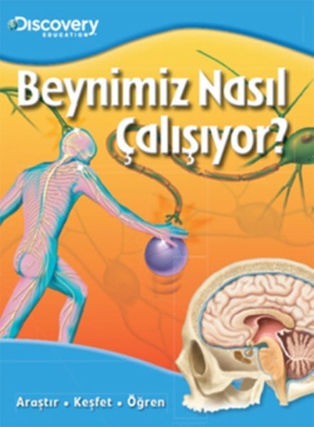 Dıscovery Education Beynimiz Nasıl Çalışıyor?