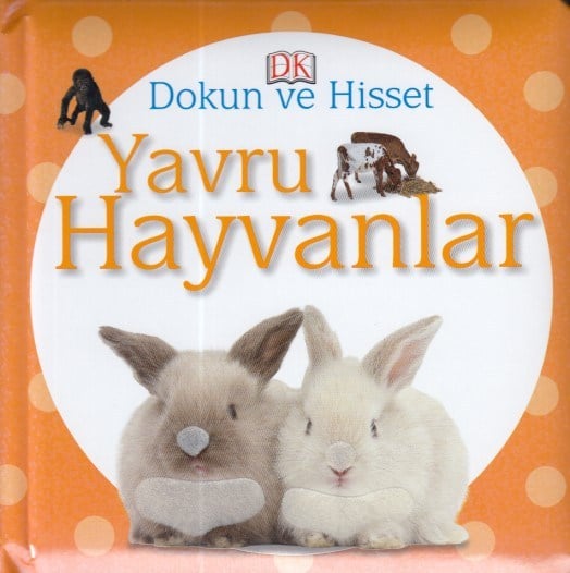 Dokun ve Hisset - Yavru Hayvanlar