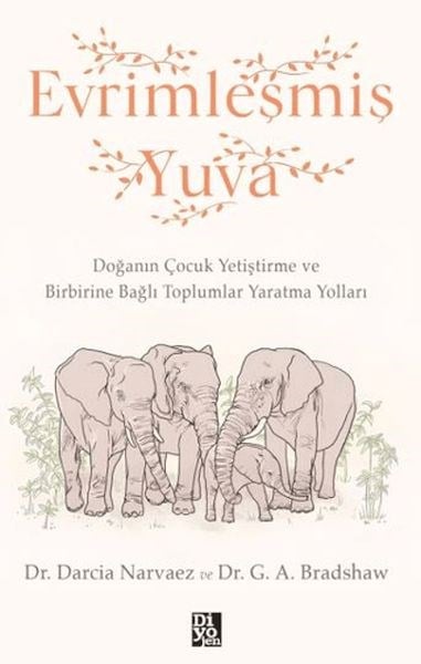 Evrimleşmiş Yuva