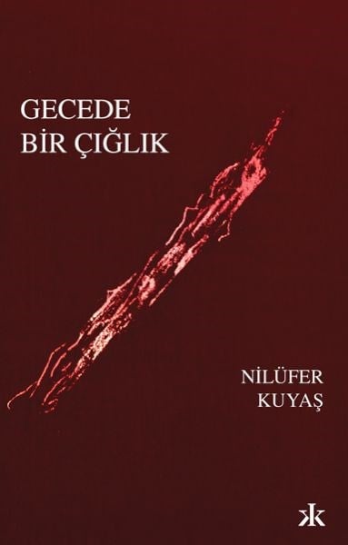 Gecede Bir Çığlık
