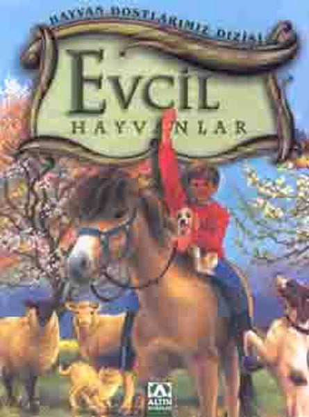 Hayvan Dostlarımız Dizisi - Evcil Hayvanlar
