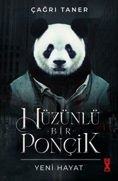 Hüzünlü Bir Ponçik - Yeni Hayat