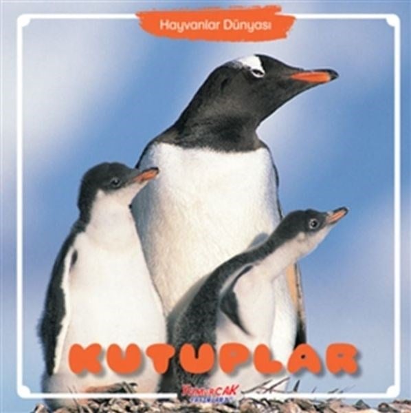 Kutuplar - Hayvanlar Dünyası