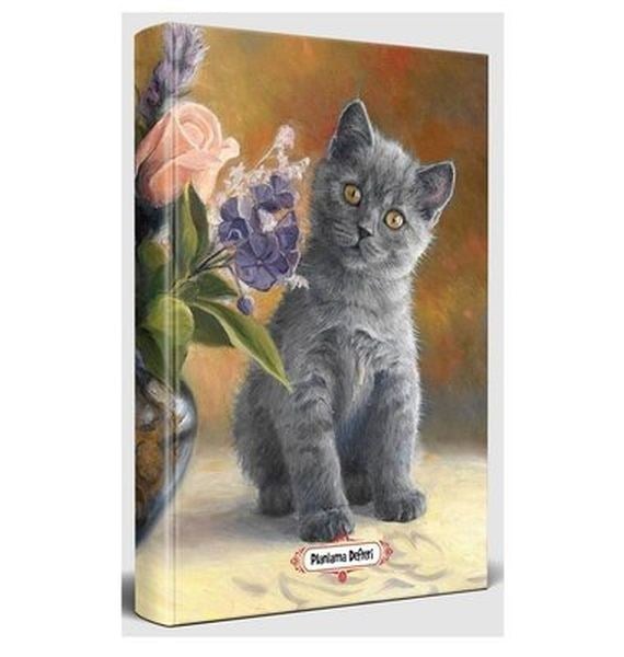 Masum Kedi - Planlama Defteri