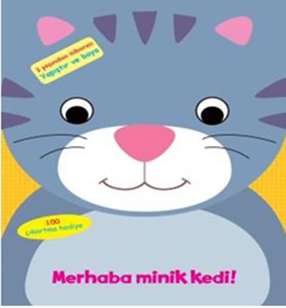 Merhaba Minik Kedi!
