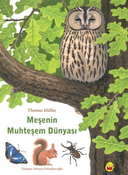 Meşenin Muhteşem Dünyası