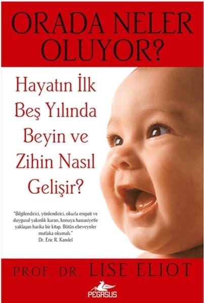 Orada Neler Oluyor