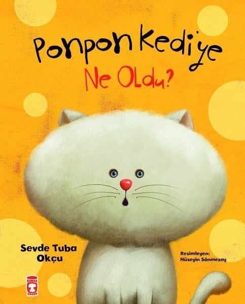 Ponpon Kediye Ne Oldu