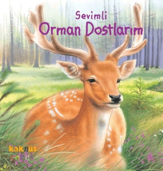 Sevimli Orman Dostlarım
