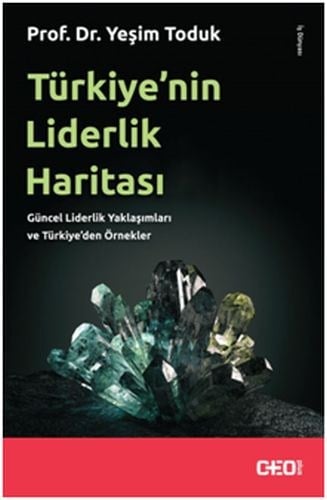 Türkiye'nin Liderlik Haritası