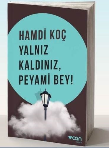Yalnız Kaldınız, Peyami Bey!