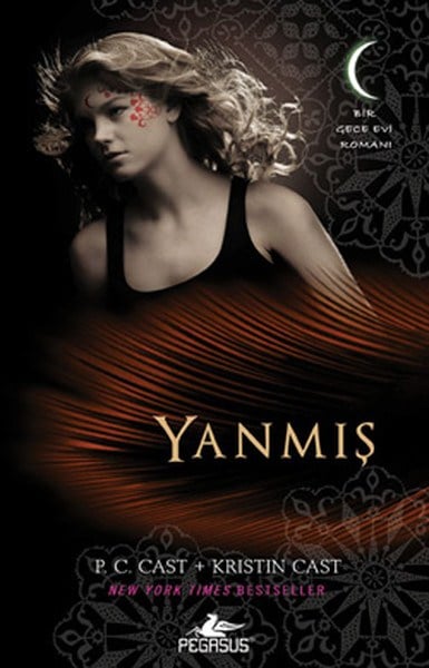 Yanmış  Bir Gece Evi Romanı