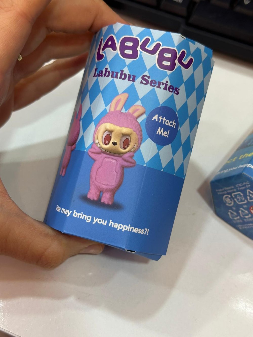 LABUBU SERİES