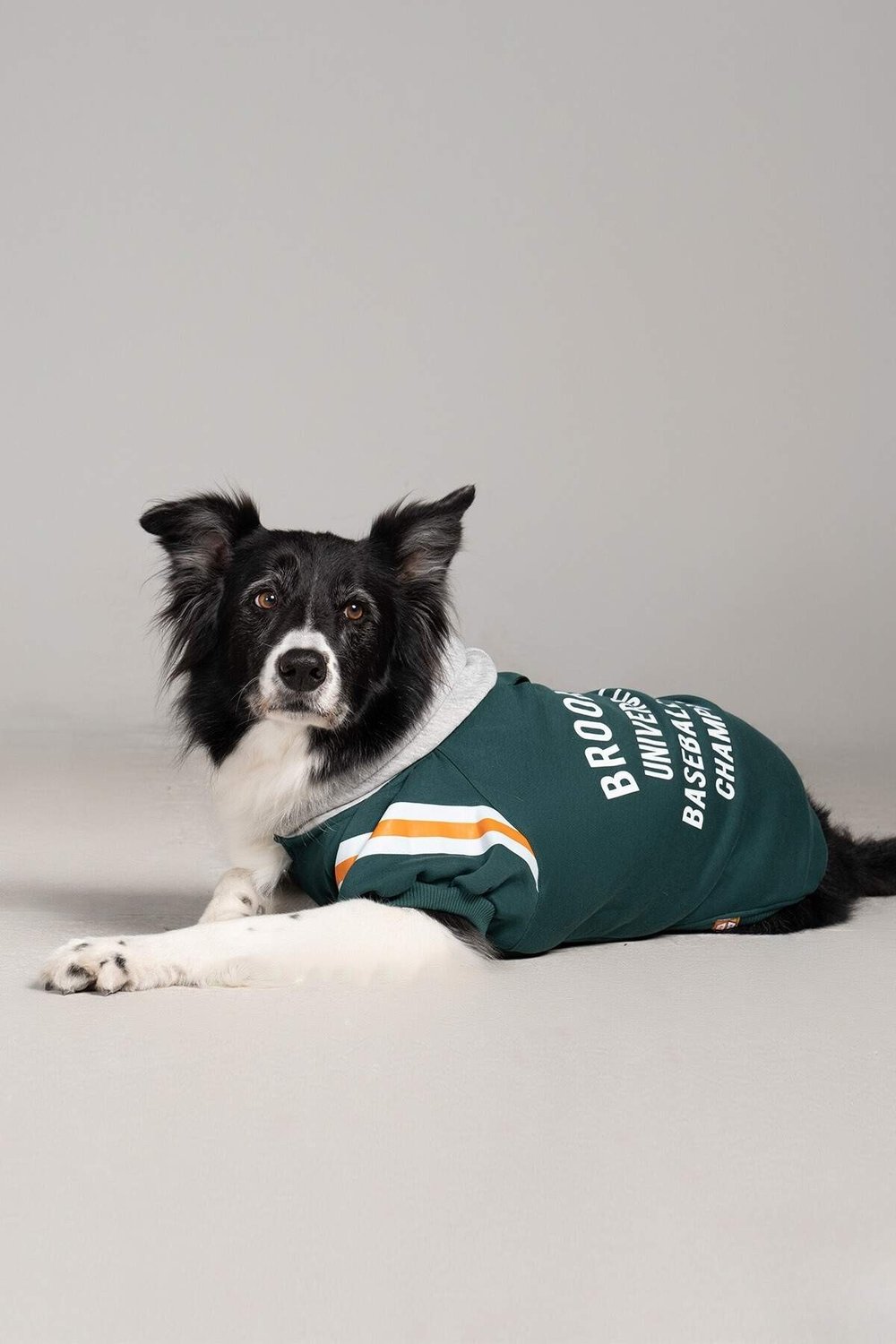 Brooklyn nefti yeşili köpek kıyafeti