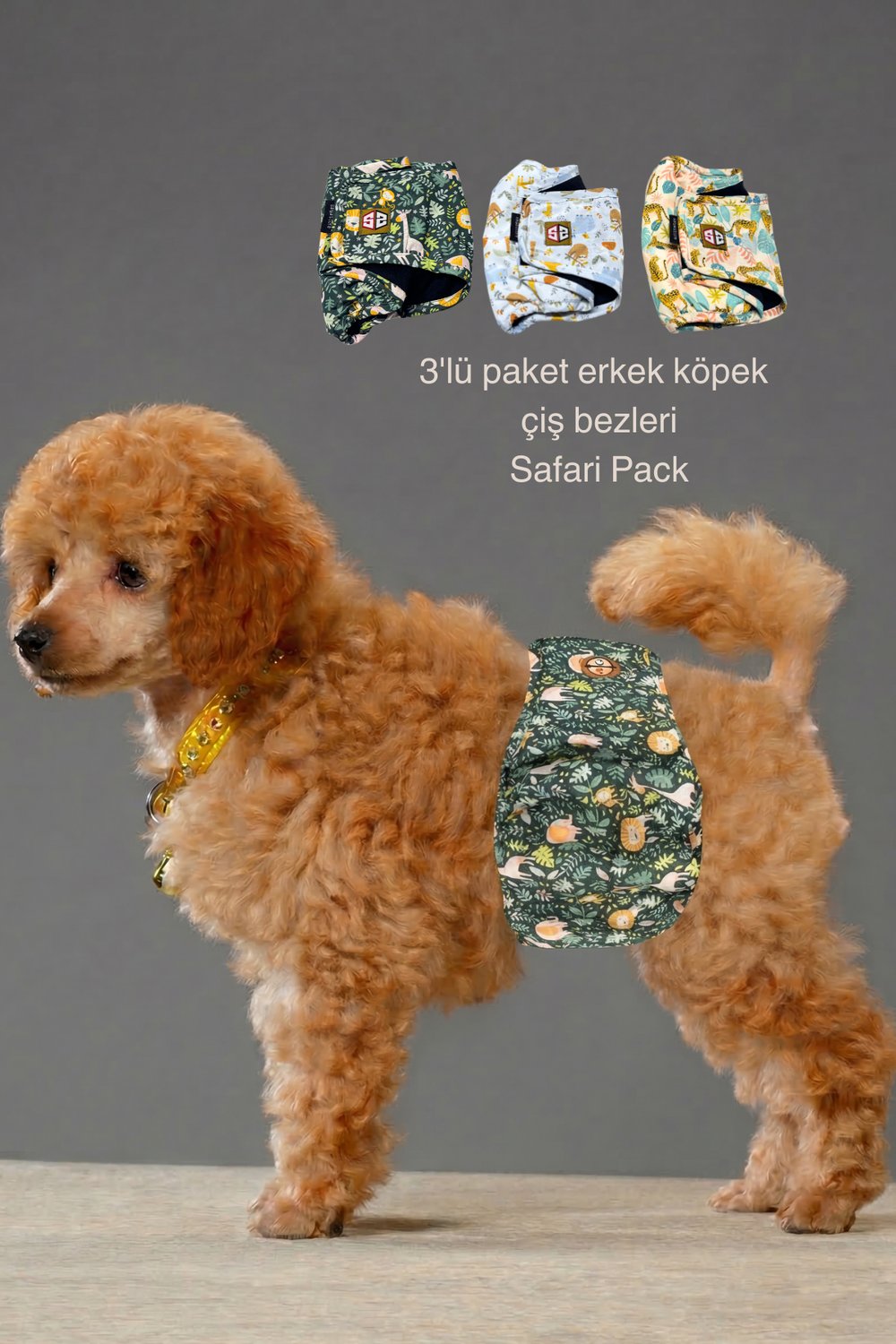 Desenli Erkek Köpek Çiş Bezleri -Erkek Köpek Külot 3'lü Avantajlı Paket Su Geçirmez ve Yıkanabilir - Çok Renkli