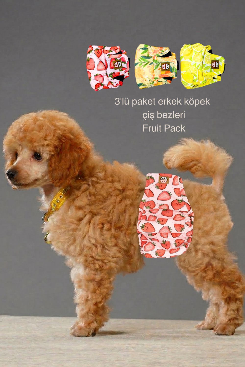 Desenli Erkek Köpek Çiş Bezleri -Erkek Köpek Külot 3'lü Avantajlı Paket Su Geçirmez ve Yıkanabilir