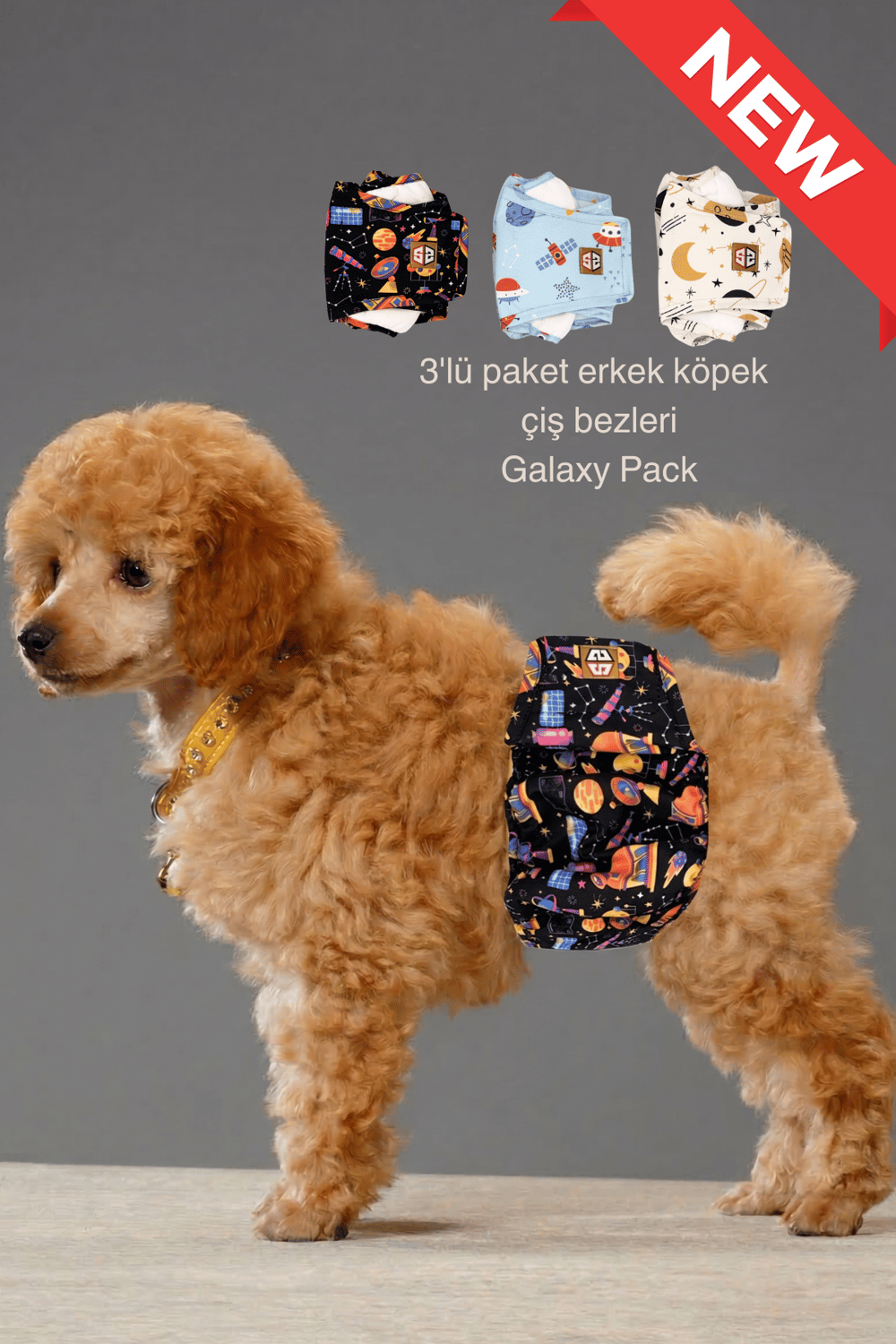 Galaxy Pack Erkek Köpek Çiş Bezleri - 3'lü Avantajlı Paket Su Geçirmez ve Yıkanabilir - Çok Renkli