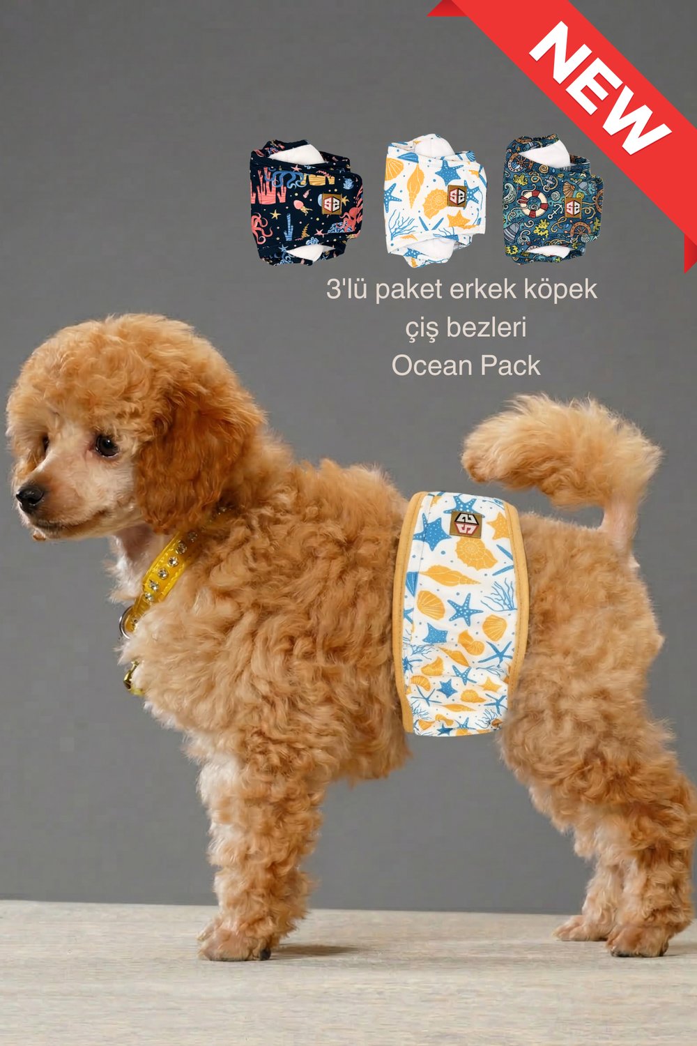Ocean Pack Erkek Köpek Çiş Bezleri - 3'lü Avantajlı Paket Su Geçirmez ve Yıkanabilir - Çok Renkli