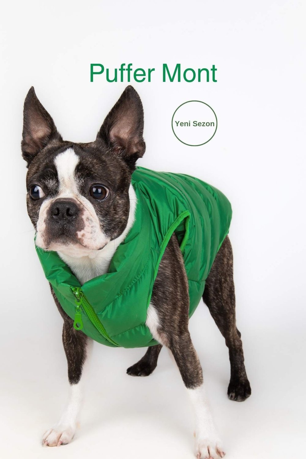 Puffer su geçirmez köpek mont, Yeşil