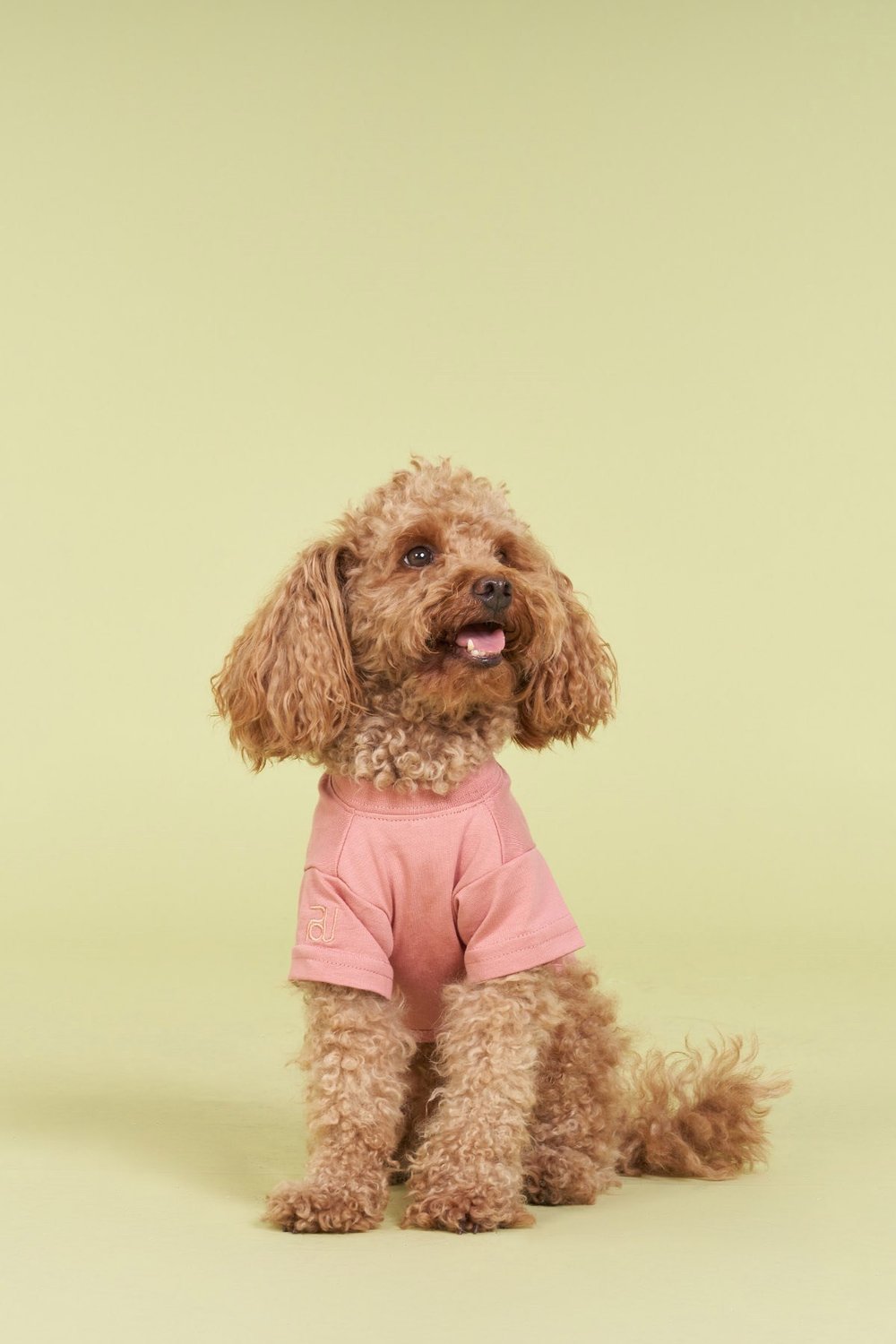 Salya Store Yeni Pou Serisi - Hands 0-30kg Köpek Tshirt 