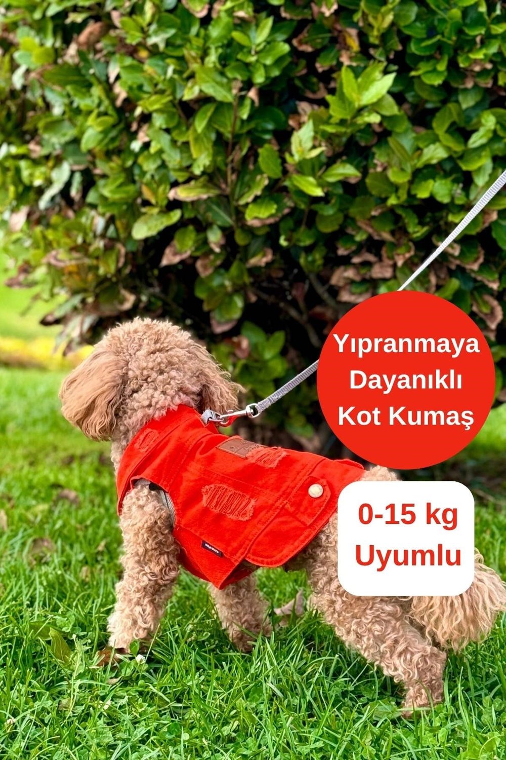 YENİ - Orange Renk Kot Köpek Yeleği - Küçük Irklar İçin Şık ve Rahat Yelek (0-15kg)