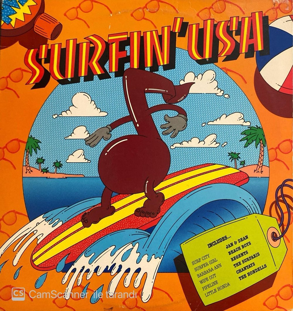 Various ‎– Surfin' USA Surf Rock Compilation Plak