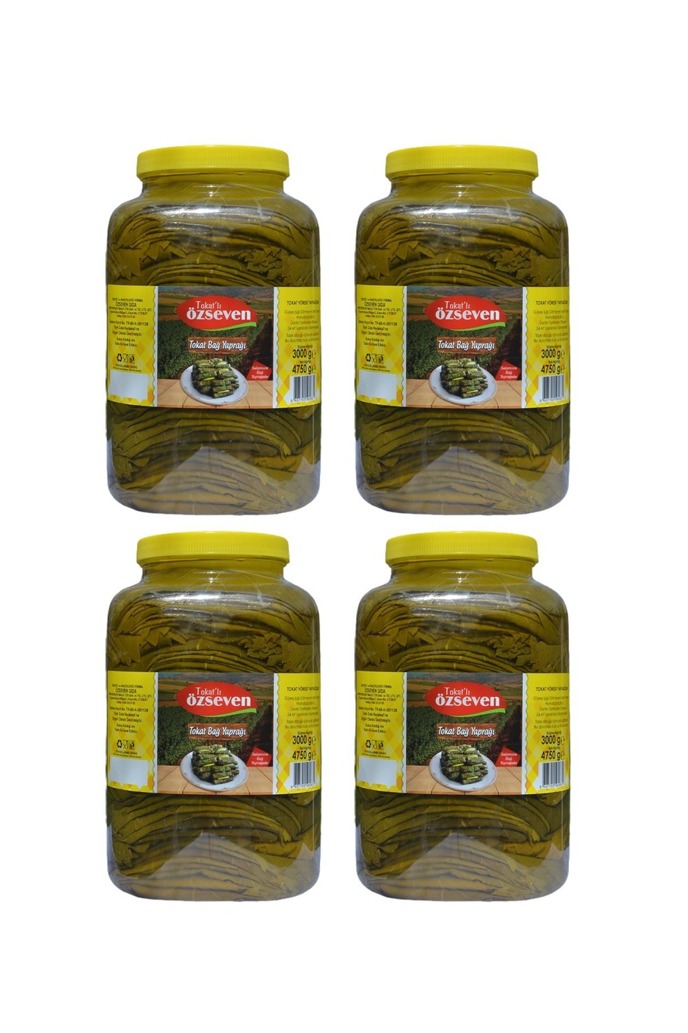 Tokat Bağ Yaprağı (4750gr x 4 Adet) 1 Koli