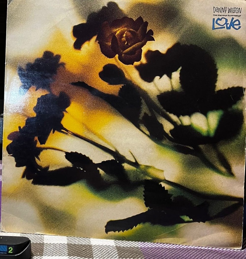 Danny Wilson – The Second Summer Of Love (Vinyl, 12
