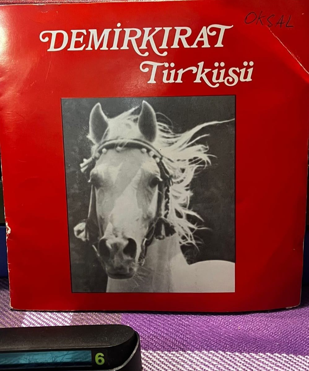 Demokrat Parti - Demirkırat Efsanesi / Demirkırat Türküsü - 1973 Politik Nadir 45'lik