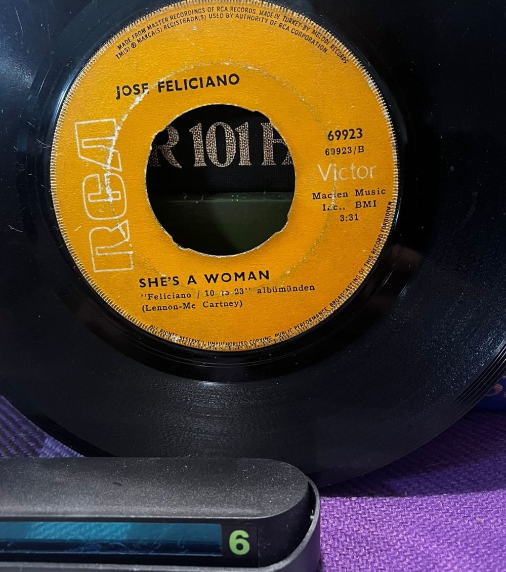 Jose Feliciano - Rain / She's A Woman (1969) RCA Victor Türkiye Baskı 45'lik Plak