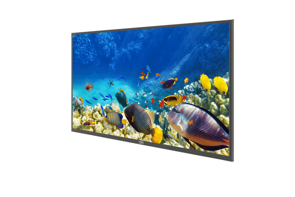 B49K 785 HOTEL TV Smart TV