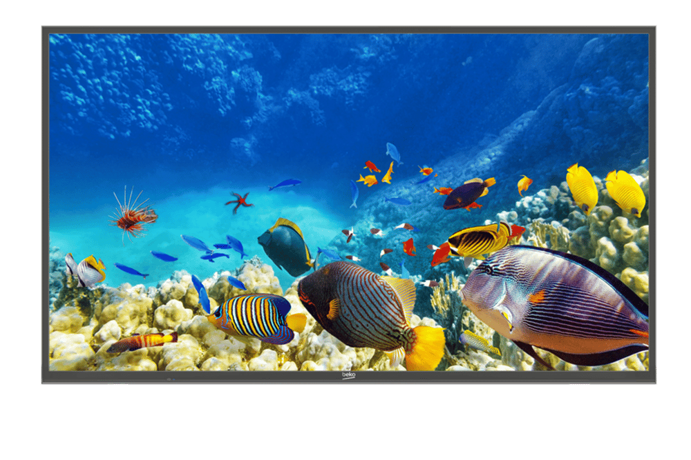 B49K 785 HOTEL TV Smart TV