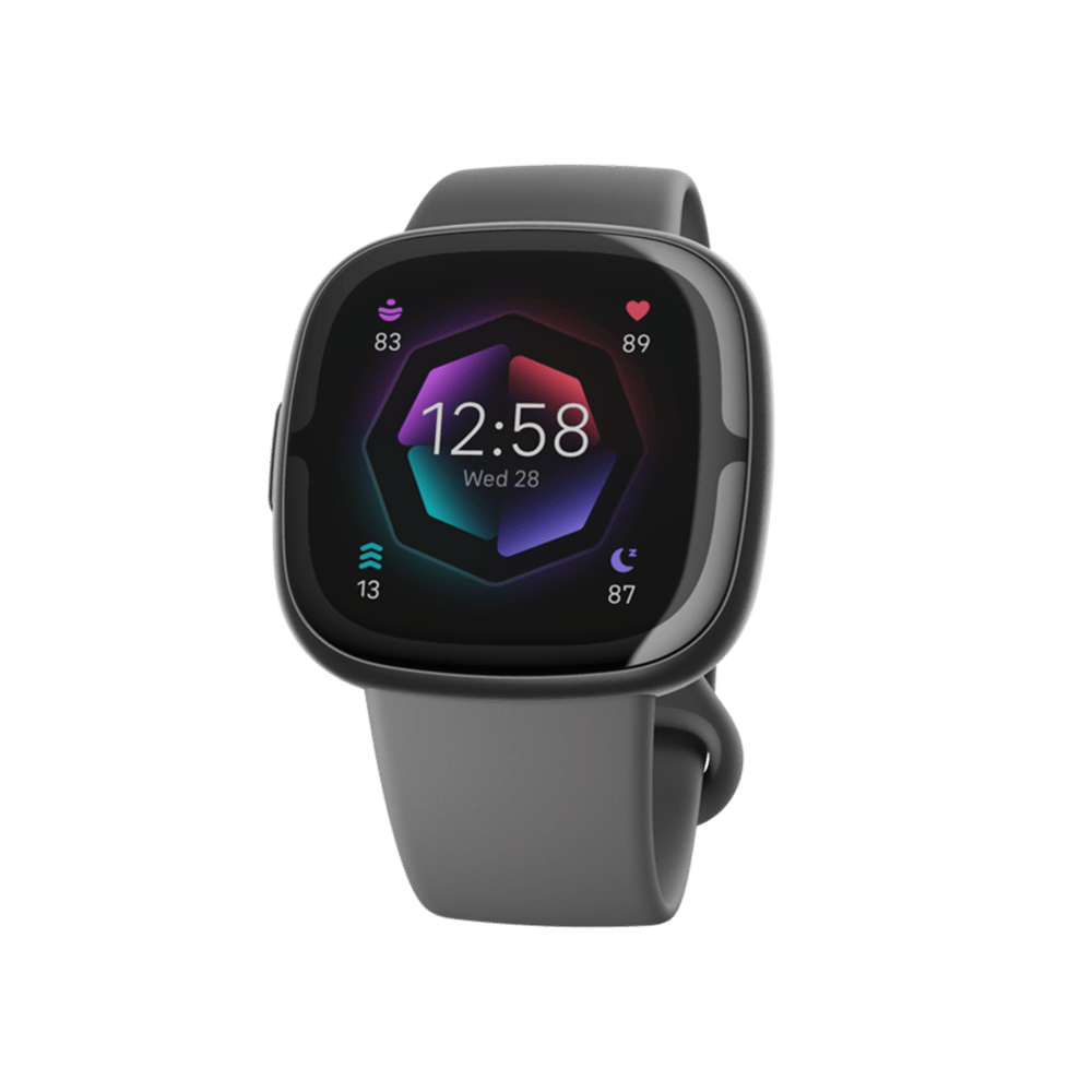 Fitbit Sense 2 Siyah/Gri Akıllı Bileklik