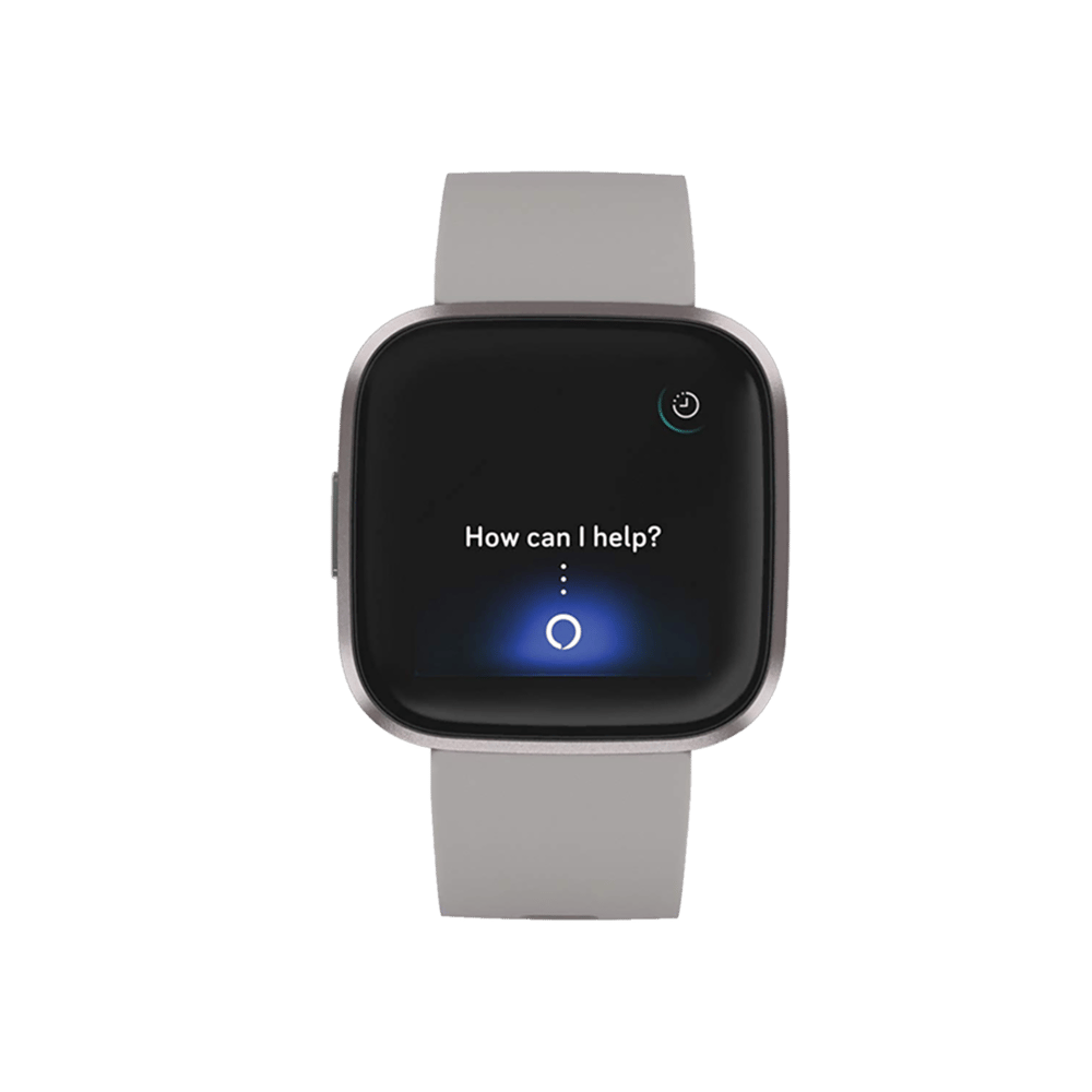 FITBIT VERSA 2 Stone / Mist Grey Giyilebilir Teknoloji