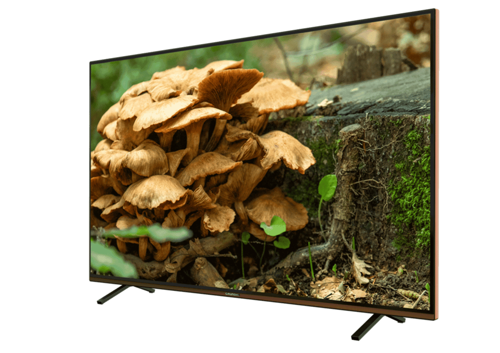 GRUNDIG PARIS 55 CLX 8675 BP Grundig