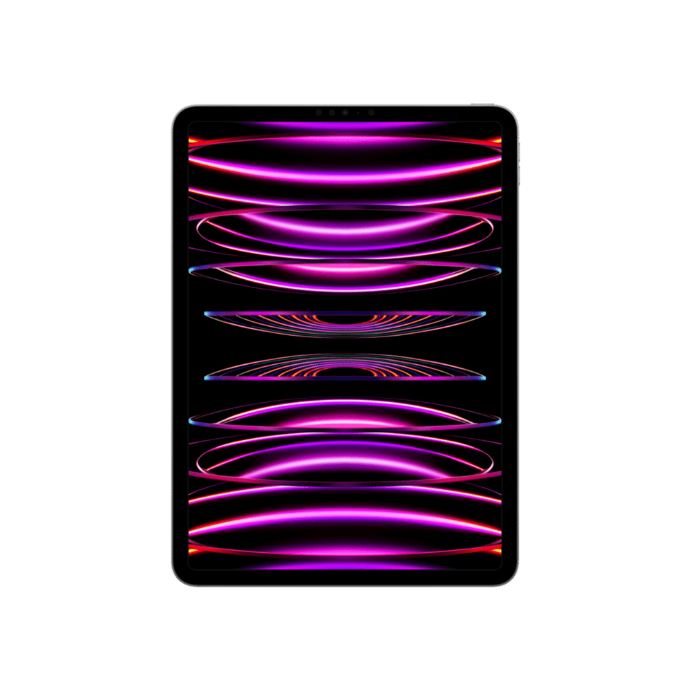 iPad Pro 11 (2022) WF 256GB Uzay Grisi Tablet