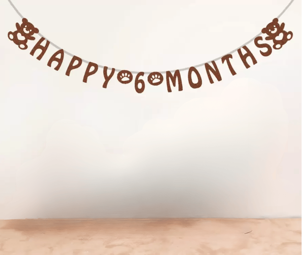 6 AY YAZILI AYICIKLI EVA BANNER